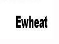 Ewheat女裝