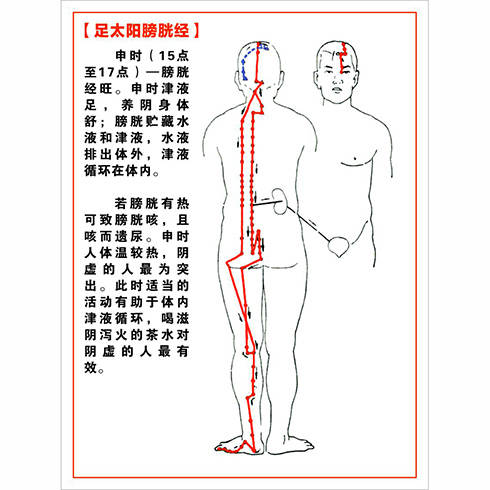 足太陽膀胱經(jīng)