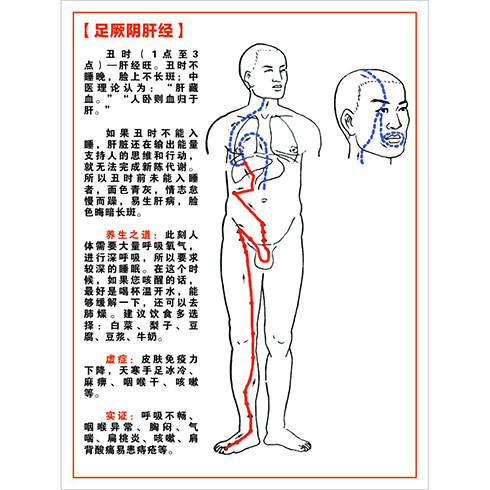 足少陰腎經(jīng)