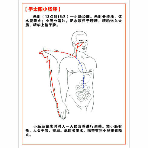 手太陽大腸經(jīng)