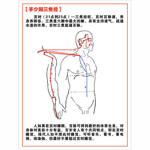 手少陽三焦經(jīng)