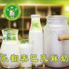 樂(lè)翻客鮮奶