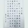 趙汝飛練字-學(xué)生練習(xí)作品